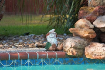 The Travelling Gnome's cousin got as far as poolside.